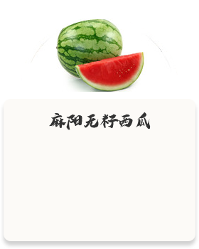 麻陽(yáng)無(wú)籽西瓜